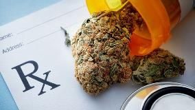 Weed Reviews