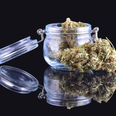 Cannabis